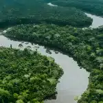 recursos-naturales-y-desarrollo