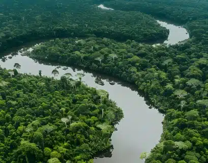 recursos-naturales-y-desarrollo