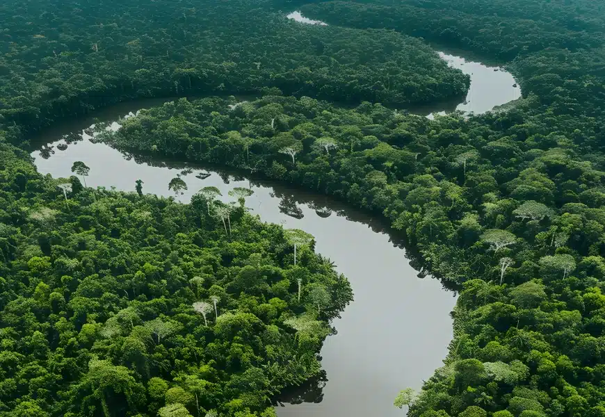 recursos-naturales-y-desarrollo