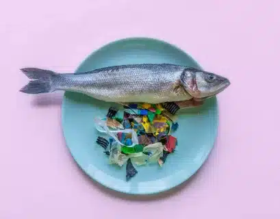 contaminación-plástico